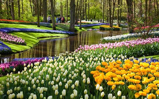 Place Keukenhof