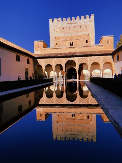 Alhambra de Granada. Entradas, visitas guiadas, información ...