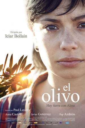 Movie El Olivo