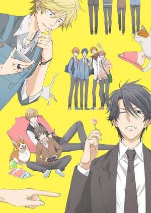 Serie Hitorijime My Hero