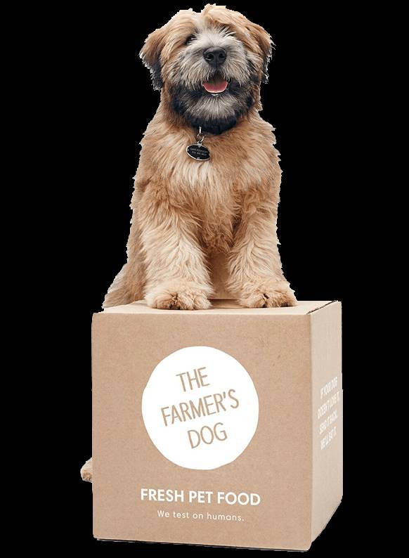 Moda The Farmer's Dog: Homemade dog food, fresh and delivered