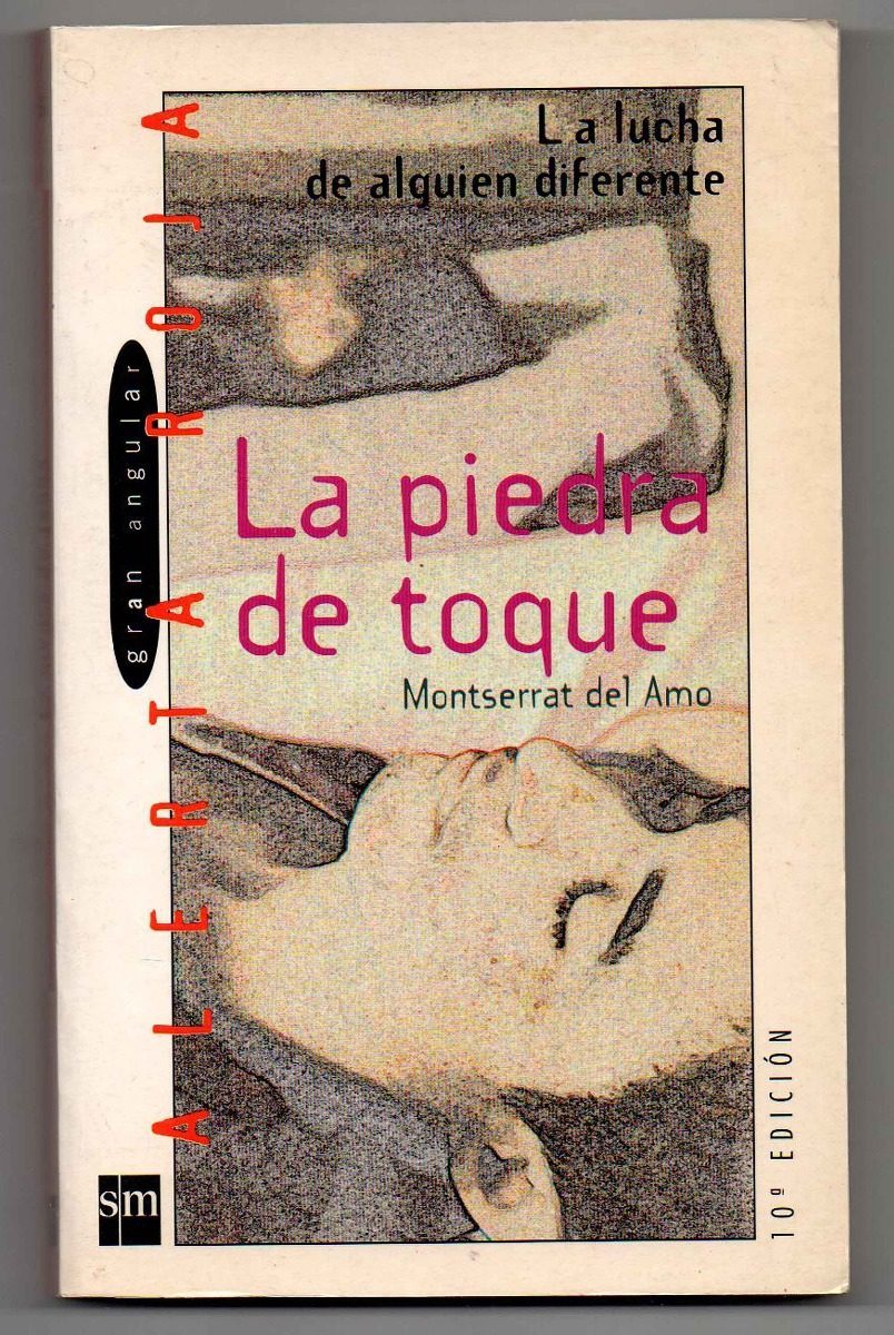 Libro La piedra de toque