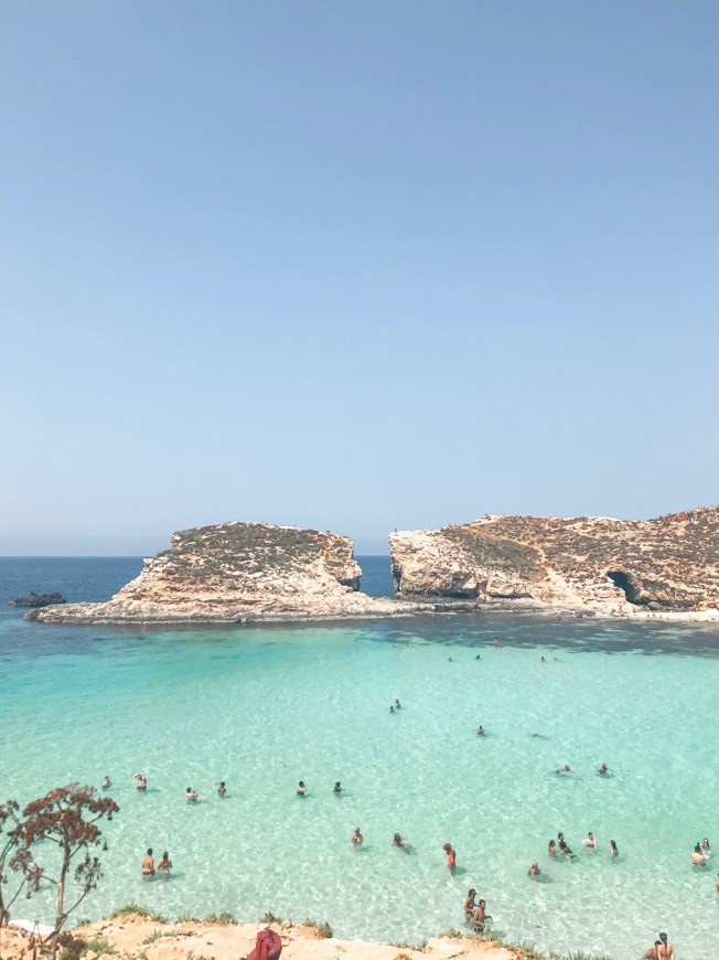 Comino