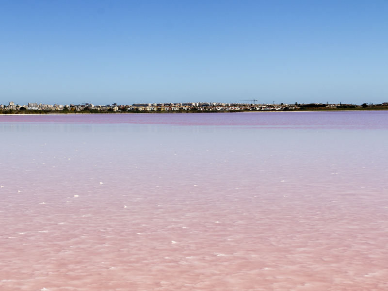 Place Laguna Rosa