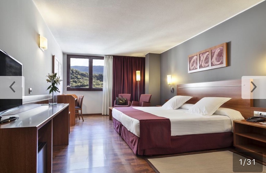 Place Hotel Acta Arthotel Andorra