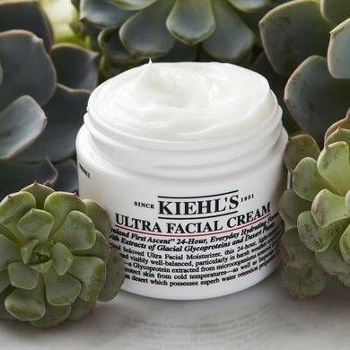 Ultra Facial Cream 24-Hours, Kiehl's