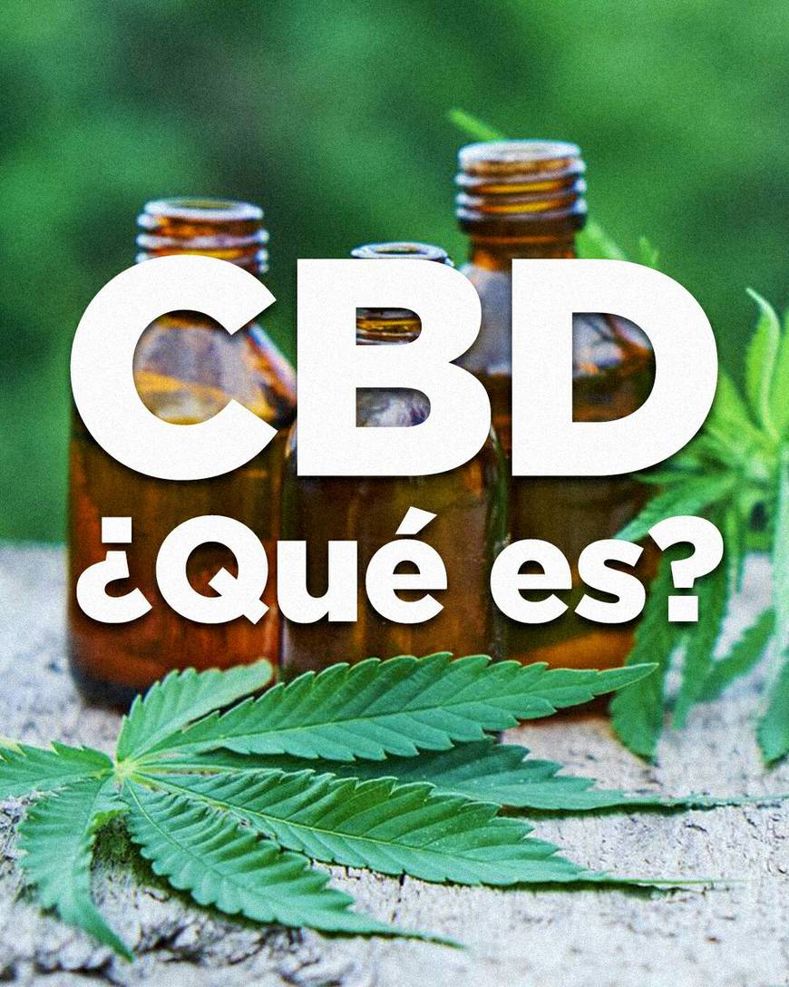 Moda Información sobre el CBD