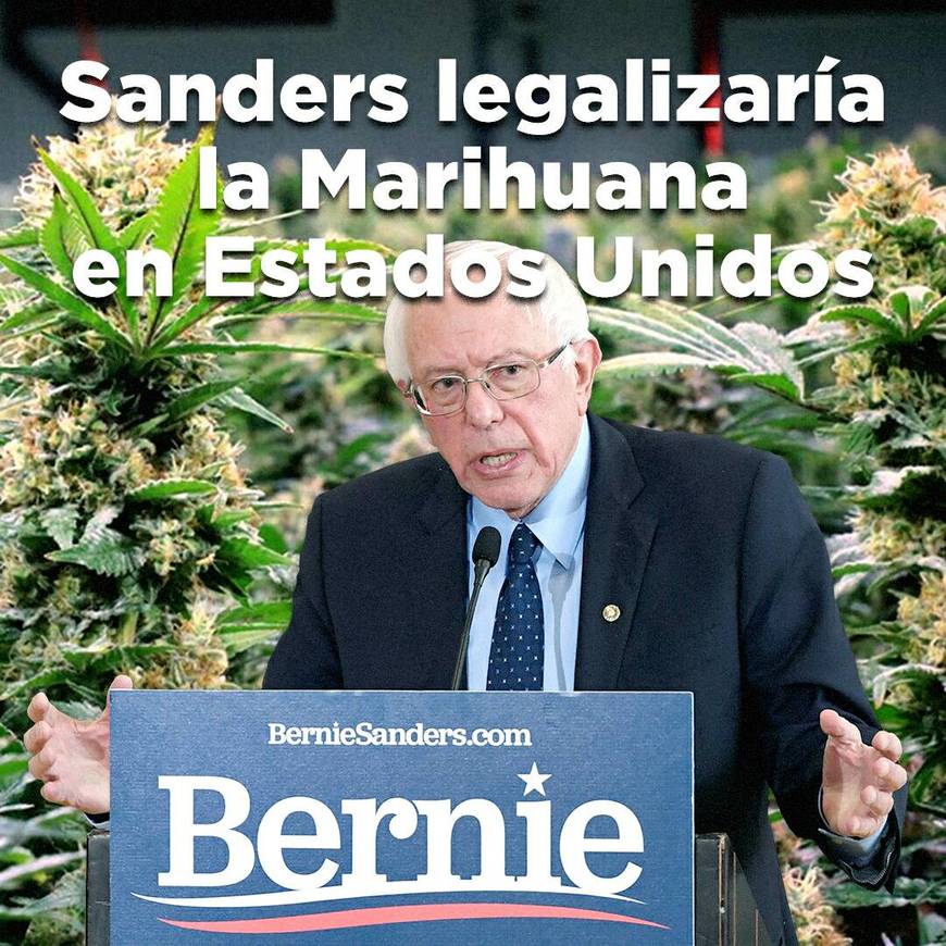 Bernie Sanders quiere legalizar la Marihuana en EE.UU.