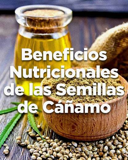 Beneficios Nutricionales de las Semillas de Cáñamo