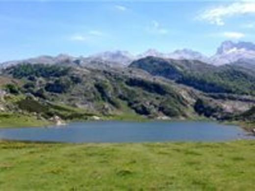 Lagos de Covadonga