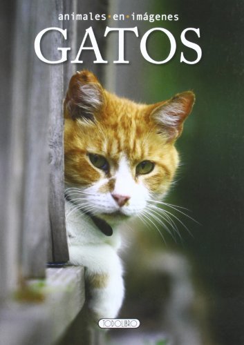 Libro Gatos