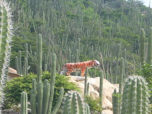 Lugar Arikok National Park