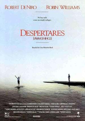 Movie Despertares