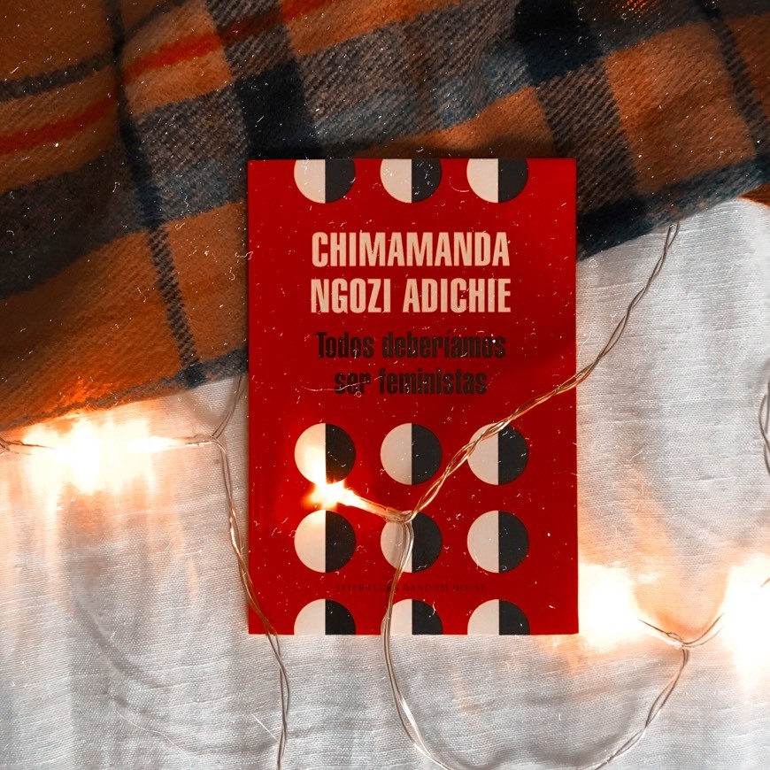 Book Todos deberíamos ser feministas