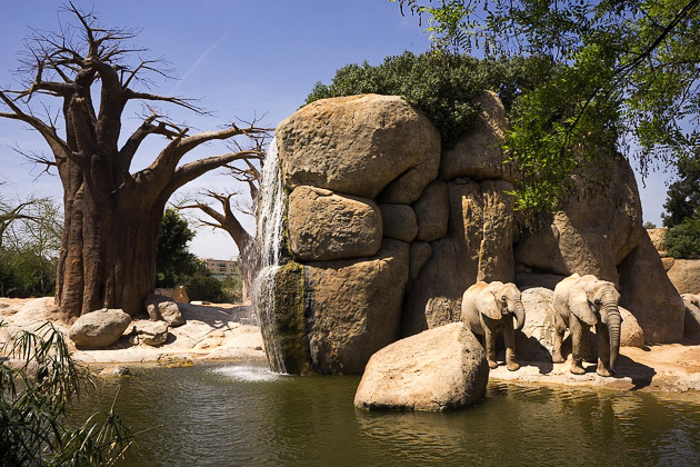 Lugar Bioparc Valencia