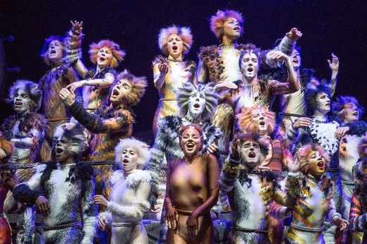 Cats the Musical - Official Website & Tickets