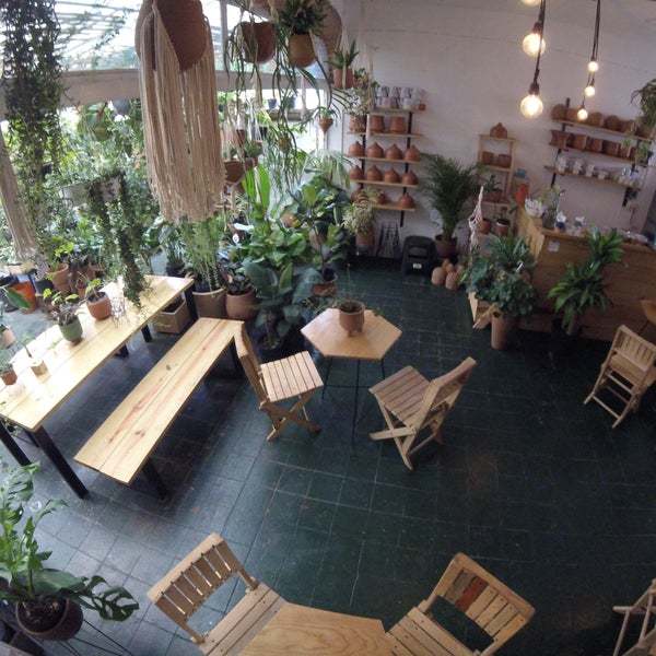 Restaurantes Ahuehuete - Plant Shop & Coffee