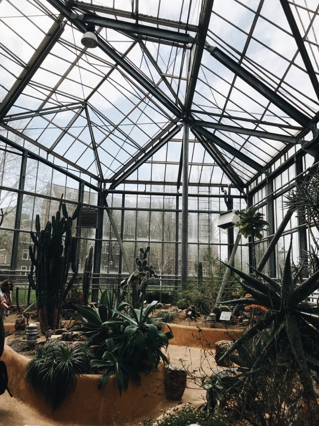 Lugar Hortus Botanicus Vrije