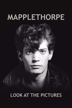 Movie Mapplethorpe: Look at the Pictures