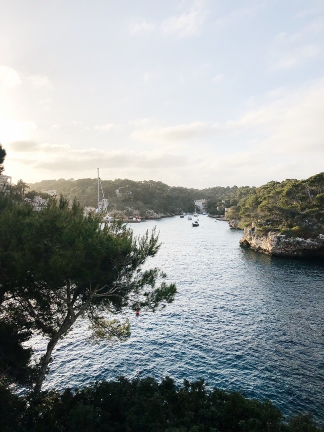 Lugar Cala Figuera (Santanyi)