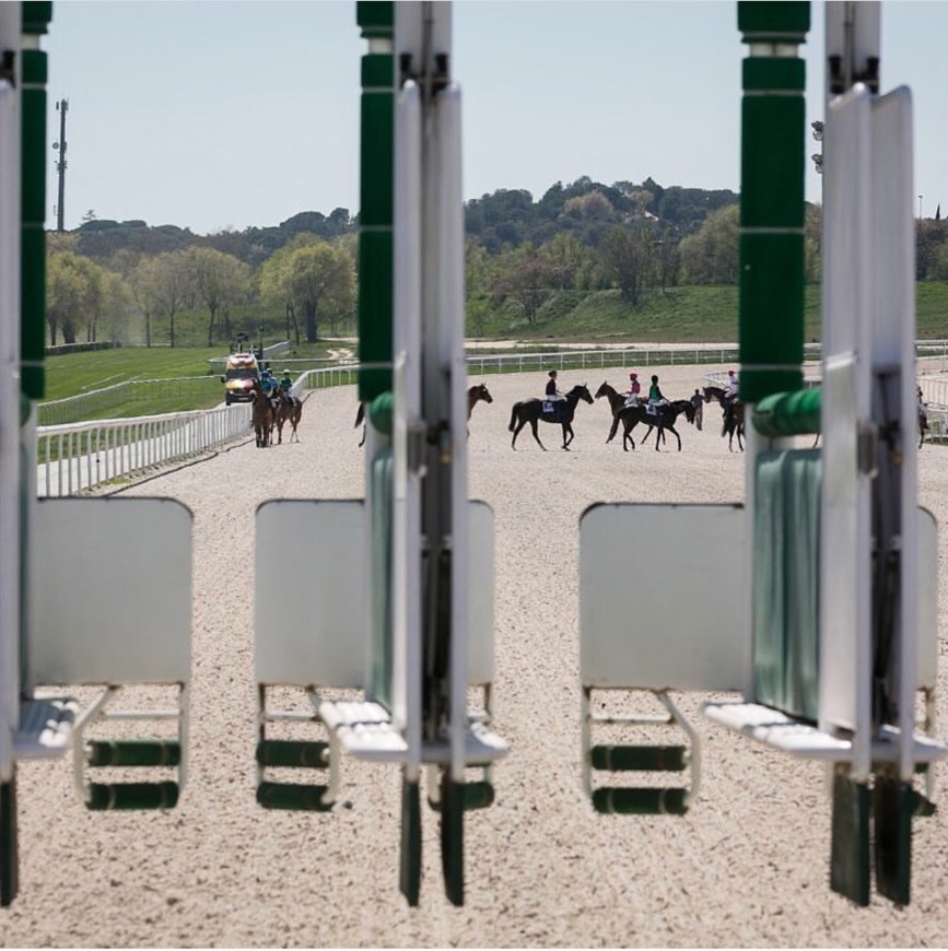 Place Hipódromo de la Zarzuela