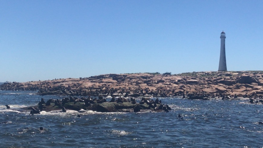 Places Isla de lobos