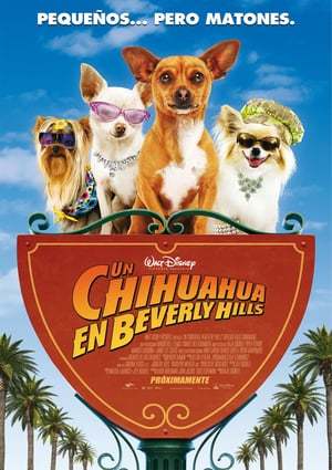 Película Un chihuahua en Beverly Hills