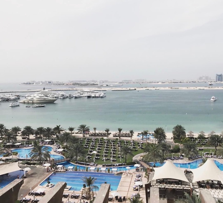 Lugar The Westin Dubai Mina Seyahi Beach Resort & Marina