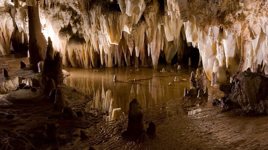 Lugar Pozalagua Cuevas