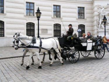 Place Fiaker-Rundfahrten