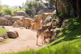 Place Bioparc Valencia