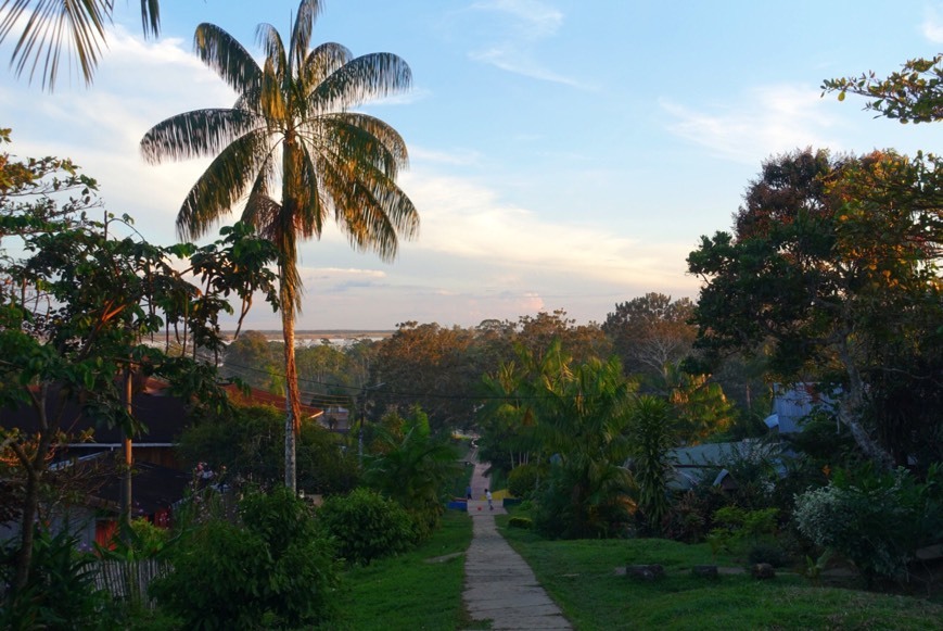 Lugar Amazonas Jungle Tours