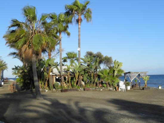 Restaurantes Kala Kalua Playa Chiringuito