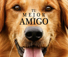 Película Tu mejor amigo