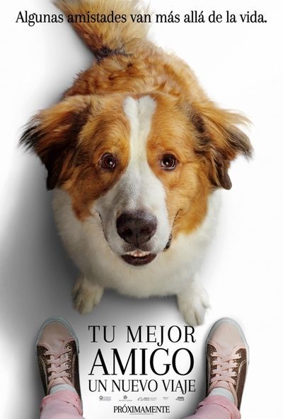 Movie Tu mejor amigo: Un nuevo viaje