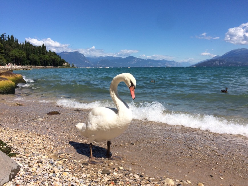 Lugar Sirmione