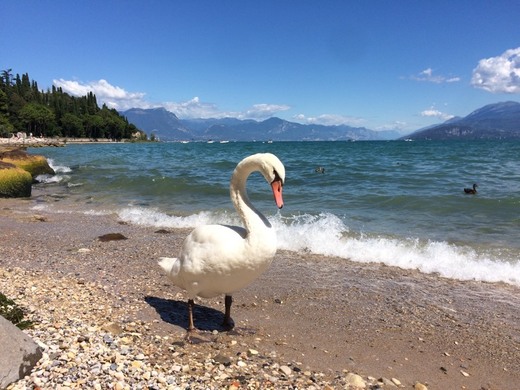 Sirmione