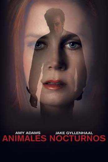 Nocturnal Animals