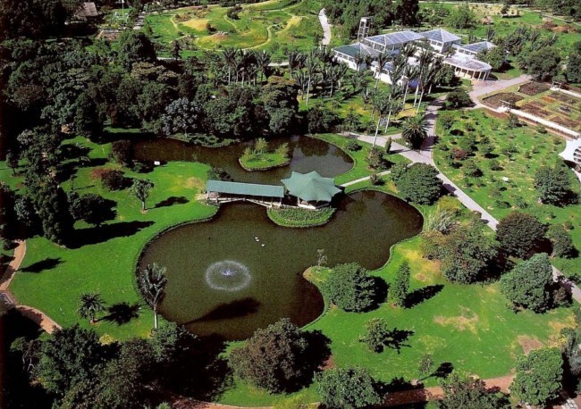 Place Real Jardín Botánico de Edimburgo