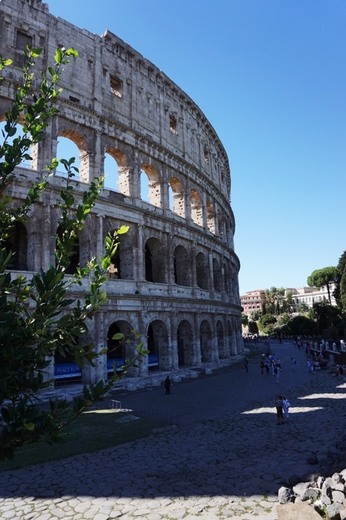 Coliseo de Roma