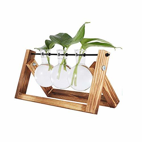 Electronics Doolland jarrón de bulbos de Plantas con Soporte de Madera Maciza Retro