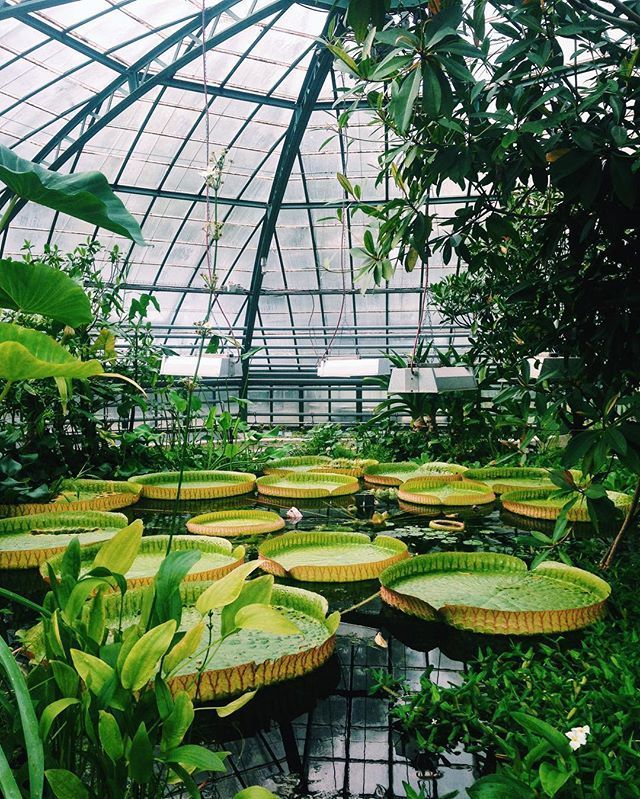 Botanical Garden Greenhouse