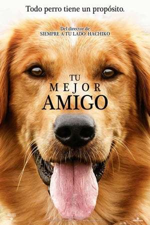 Película Tu mejor amigo