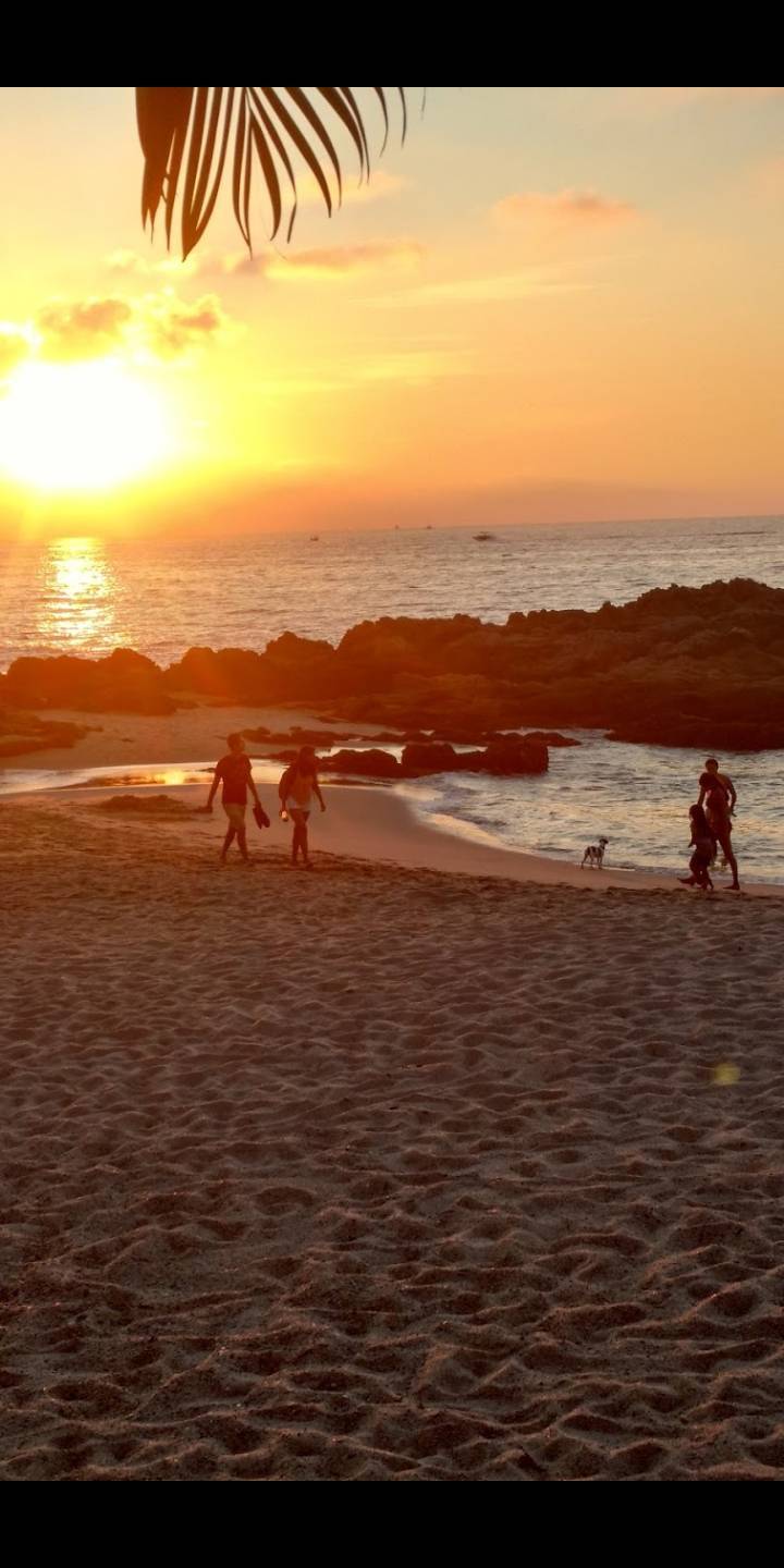 Lugar Puerto Vallarta