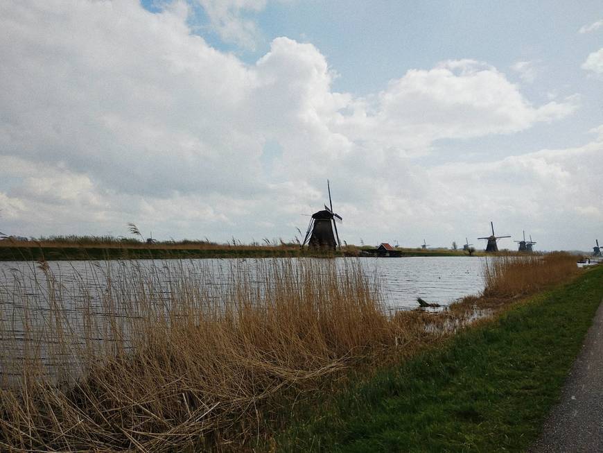 Moda Los molinos de Kinderdijk - Holland.com