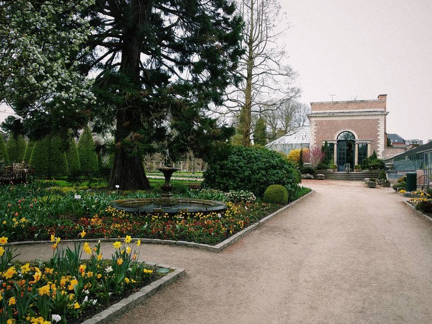 Moda Jardín Botánico de Lovaina, desde 1738