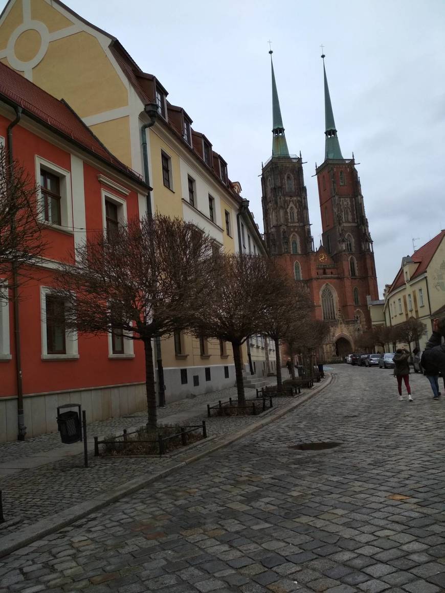 Lugar Cathedral of St. John the Baptist