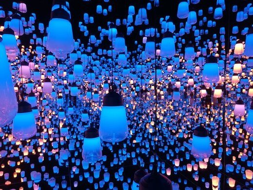 teamLab Borderless Tokyo: MORI Building DIGITAL ART MUSEUM