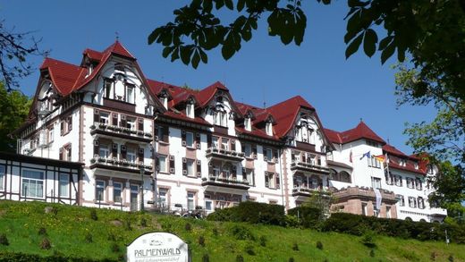 Hotel Palmenwald Schwarzwaldhof