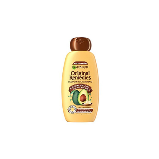 Garnier, Champú